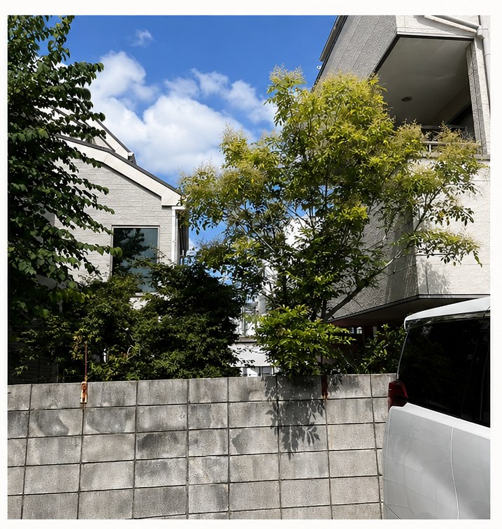 町田市成瀬が丘で伐採しました|大きくなりすぎた庭木をすっきり整えました Before