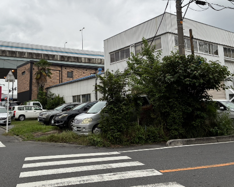 町田市で空き地の伐採を行いました|雑木・雑草をすっきり整地 Before