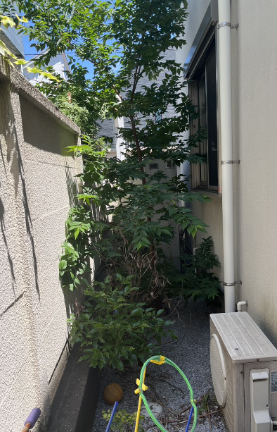 東京都町田市で伐採・除草しました|茂りすぎた雑木とツルをすっきり! Before